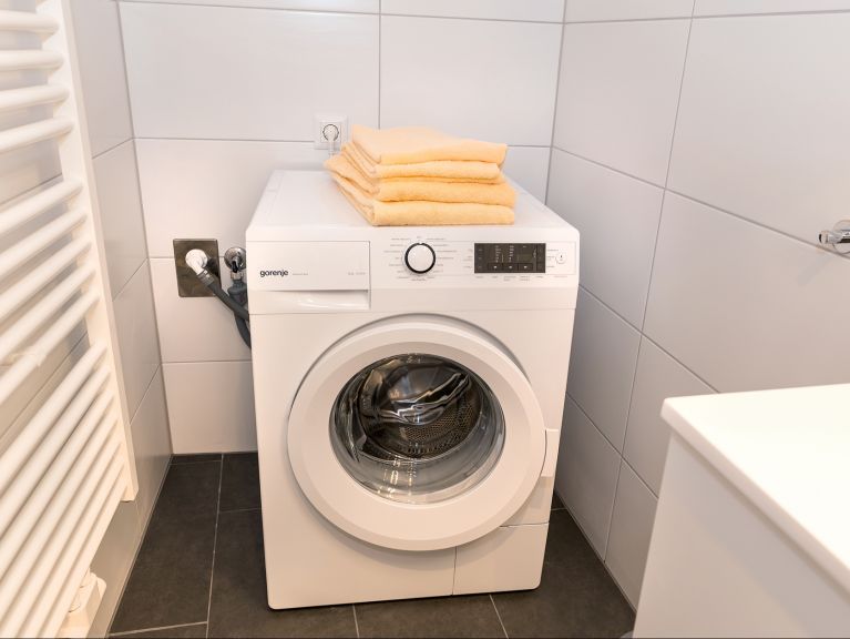Appartement Brunner Penthouse