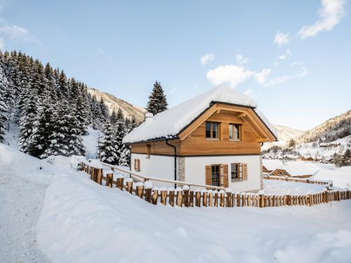 chalet-riesneralm-bergzauber-8-11-personen