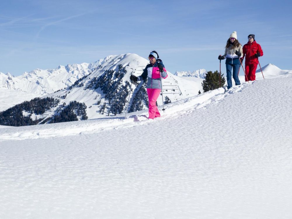 sneeuwschoenwandelen