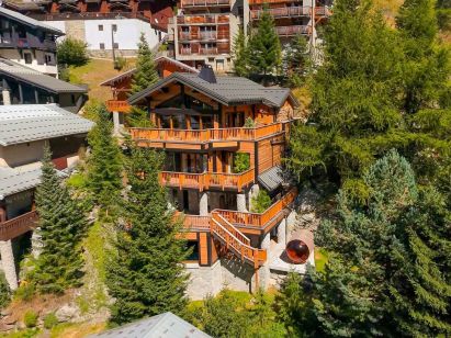 Chalet Les Sources de La Davie-1