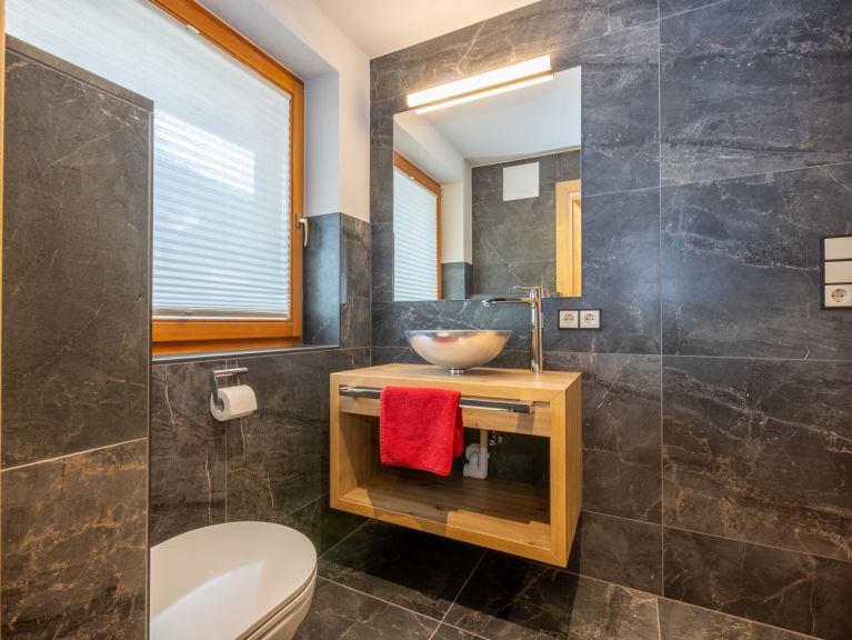 Chalet-appartement Alps Zillertal Apartment Lahnenberg