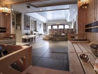Chalet-appartement Montagnettes Hameau de la Sapinière met sauna-17