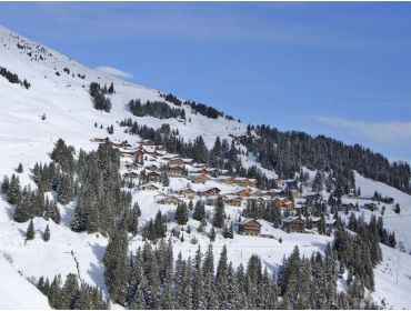 Skidorp Klein wintersportdorpje omgeven door skiliften-3