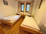 Chalet-appartement Villarenger Chalet Chardon-8