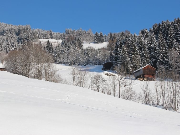 Chalet Rote Alm