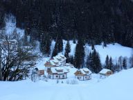 Chalet Riesneralm Hestia-22