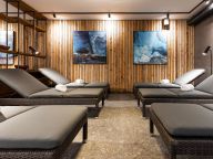 Chalet-appartement Das Neukirchen Maisonette Penthouse Typ 3b - met privé sauna-53