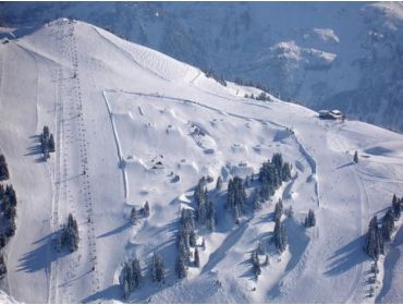 Skidorp Klein wintersportdorpje omgeven door skiliften-5