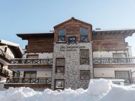 Chalet-appartement Das Neukirchen Penthouse Type 2a-71