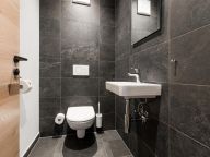 Chalet-appartement Das Neukirchen Type 3a-19