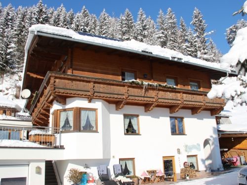 Appartement Anita 8 10 personen Tirol