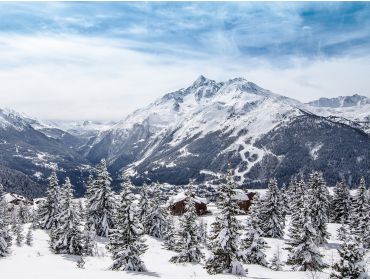 Skidorp Perfect voor wintersport met familie; verscholen tussen de bossen-4