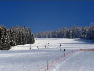 Skidorp Klein, rustig wintersportdorp dichtbij meerdere skigebieden-2