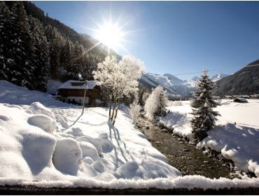 Skidorp: Finkenberg (bij Mayrhofen)-1