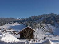 Chalet-appartement Fleur des Alpes Edelweiss-7