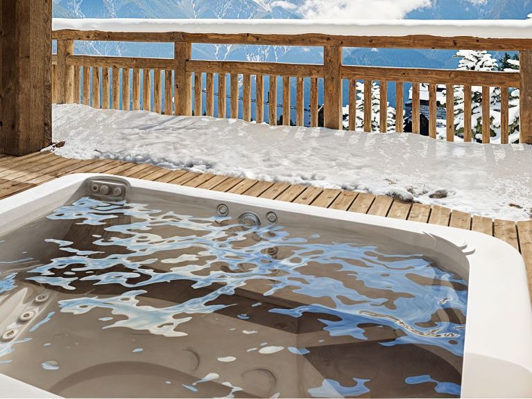 Chalet Les Sources La Panthère des neiges