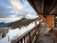 Chalet-appartement Les Balcons de Belle Plagne-17