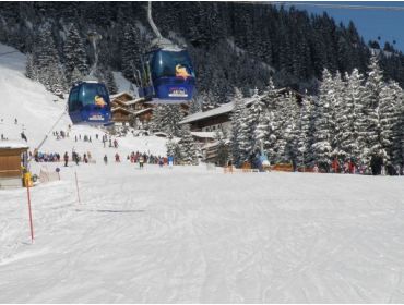 Skidorp Sneeuwzeker en gezellig wintersportdorp in het Zillertal-10