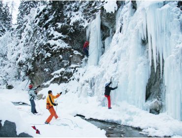 Skidorp Authentiek wintersportdorp midden tussen 3 skigebieden-4