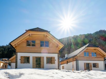 Chalet Riesneralm Steier Hütte-1