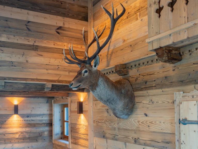 Chalet Spykerhütte
