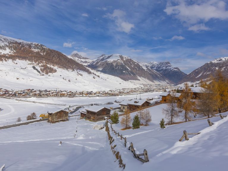 Chalet-appartement Legnoso Camoscio
