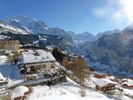 Chalet-appartement Roossi-12