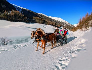 Skidorp Idyllisch wintersportdorp voor families en beginners-5