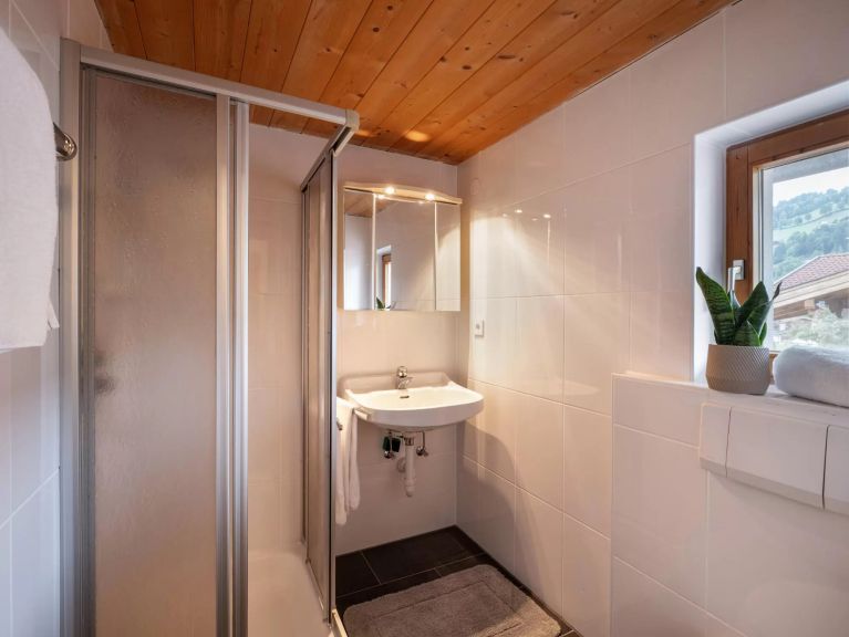 Appartement Sepp