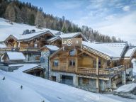 Chalet du Cocoon Le Cocoon-38