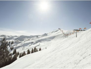 Skidorp Rustig wintersportdorp, ideale verbinding met Saalbach en Hinterglemm-6
