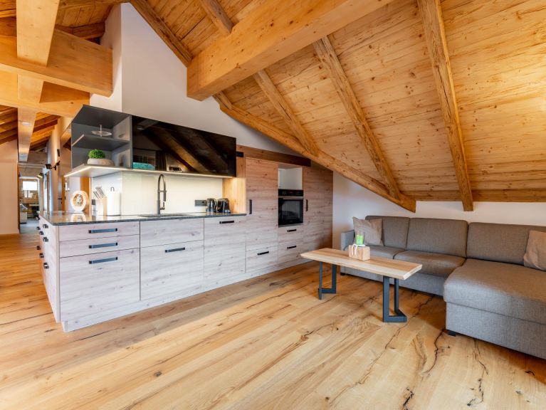 Appartement AlmApART 8-3 / Penthouse