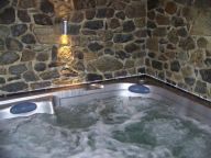 Chalet Leslie Alpen chalet 1 - met sauna en whirlpool-3