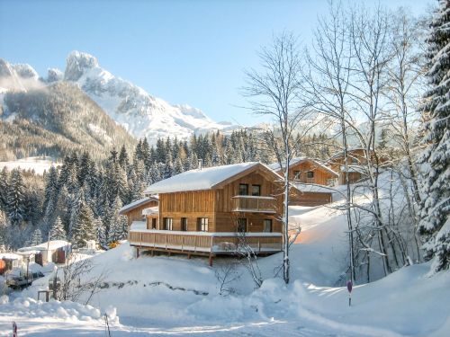Chalet Alpendorf Dachstein-West Alpenrose in Oostenrijk