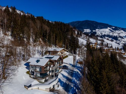 Chalet appartement Schmittenblick met privé sauna 8 9 personen Salzburgerland