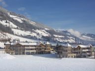 Chalet-appartement Wildkogelresorts Penthouse Type V-30