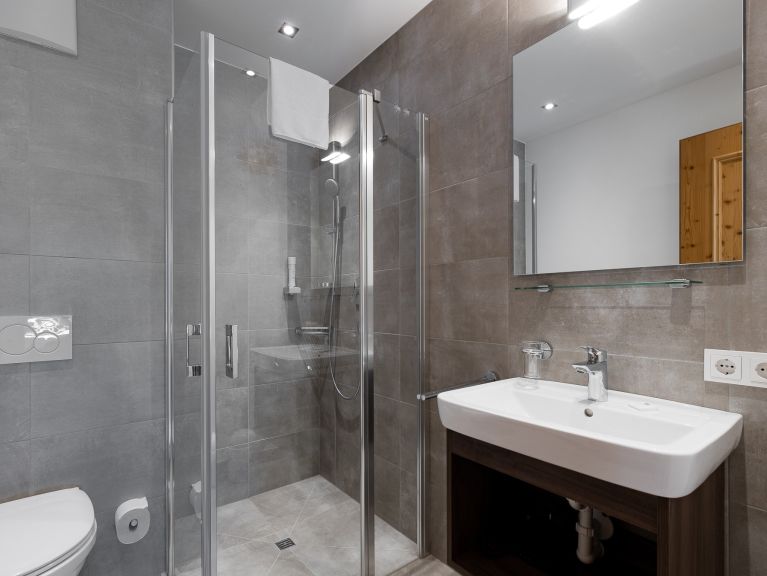 Chalet-appartement Wildkogelresorts Penthouse Type IIIa