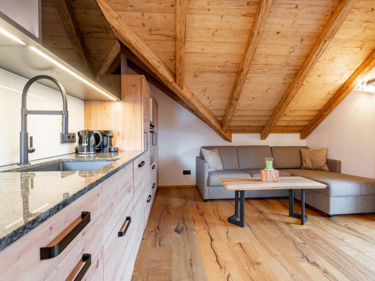 Appartement AlmApART 8-3 / Penthouse
