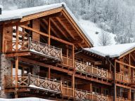 Chalet-appartement Wildkogelresorts Type IIa-4