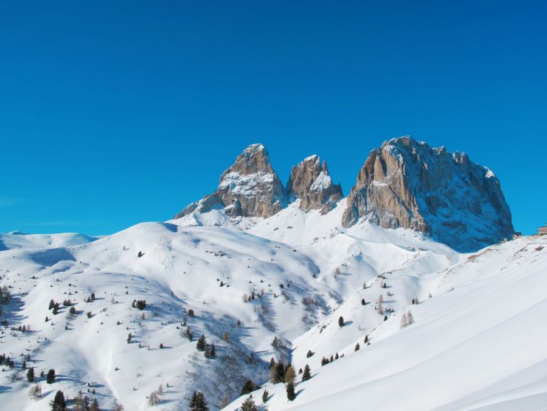Appartement Cesa del Sass