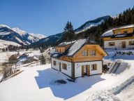 Chalet Riesneralm Sperlingnest-15