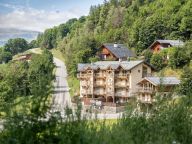 Chalet-appartement Les Amis-28