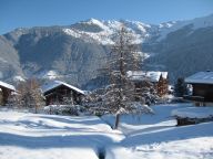 Chalet Les Jeunes-18