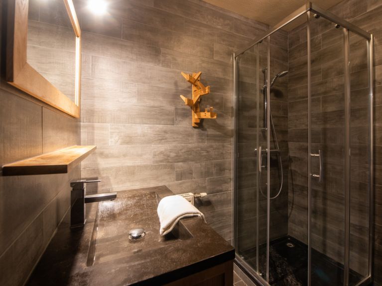 Appartement Les Chalets du Thorens
