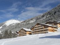Chalet-appartement Le Grand Lodge met cabine-19