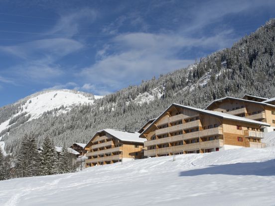 Chalet-appartement Le Grand Lodge-19