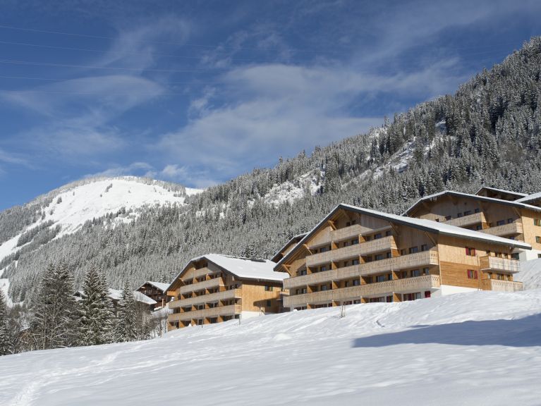Chalet-appartement Le Grand Lodge met cabine