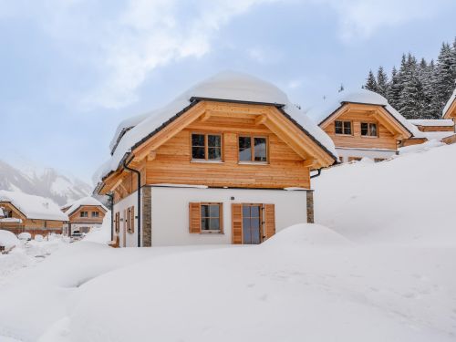 Chalet Riesneralm Alpenjoy Lodge - 8-10 personen