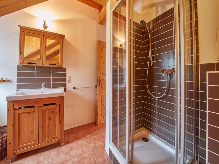 Chalet DreiHittn Steinbock