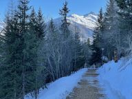 Chalet Coco met privé-sauna-34